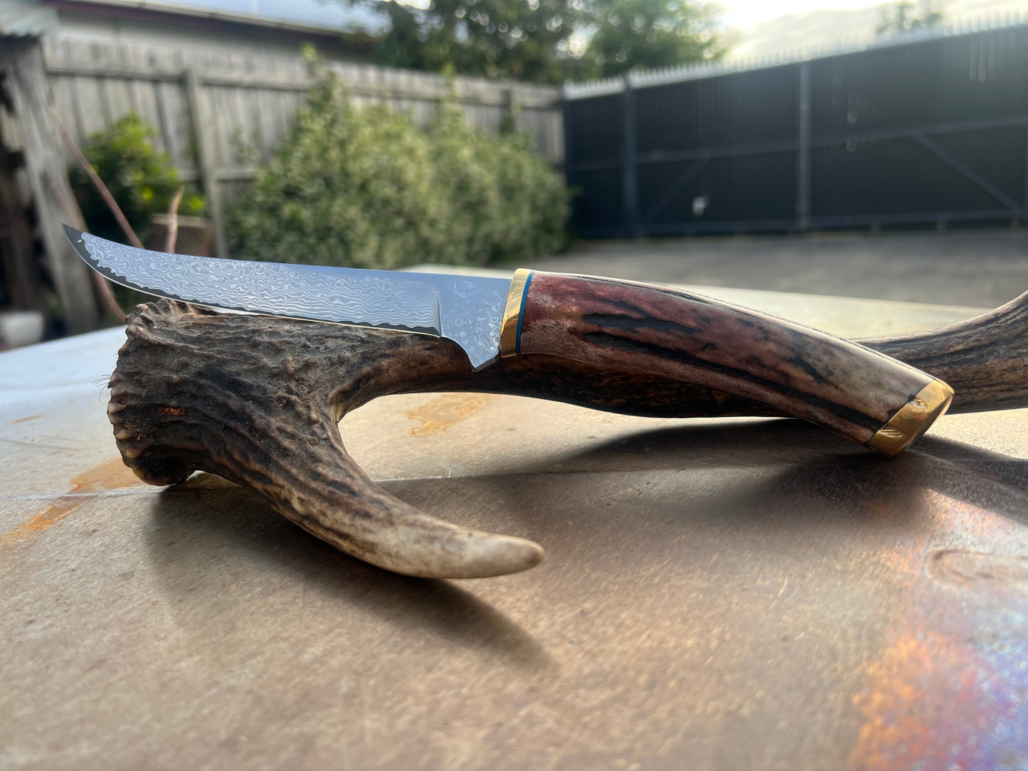 Damascus boning knife