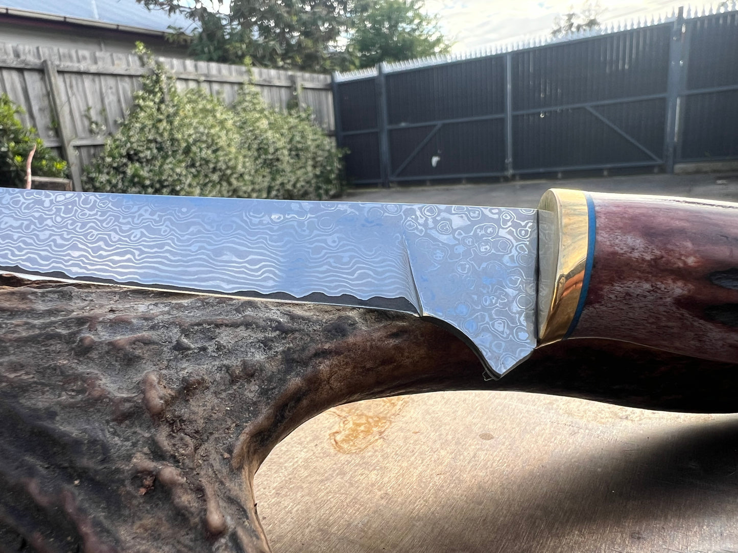 Damascus boning knife