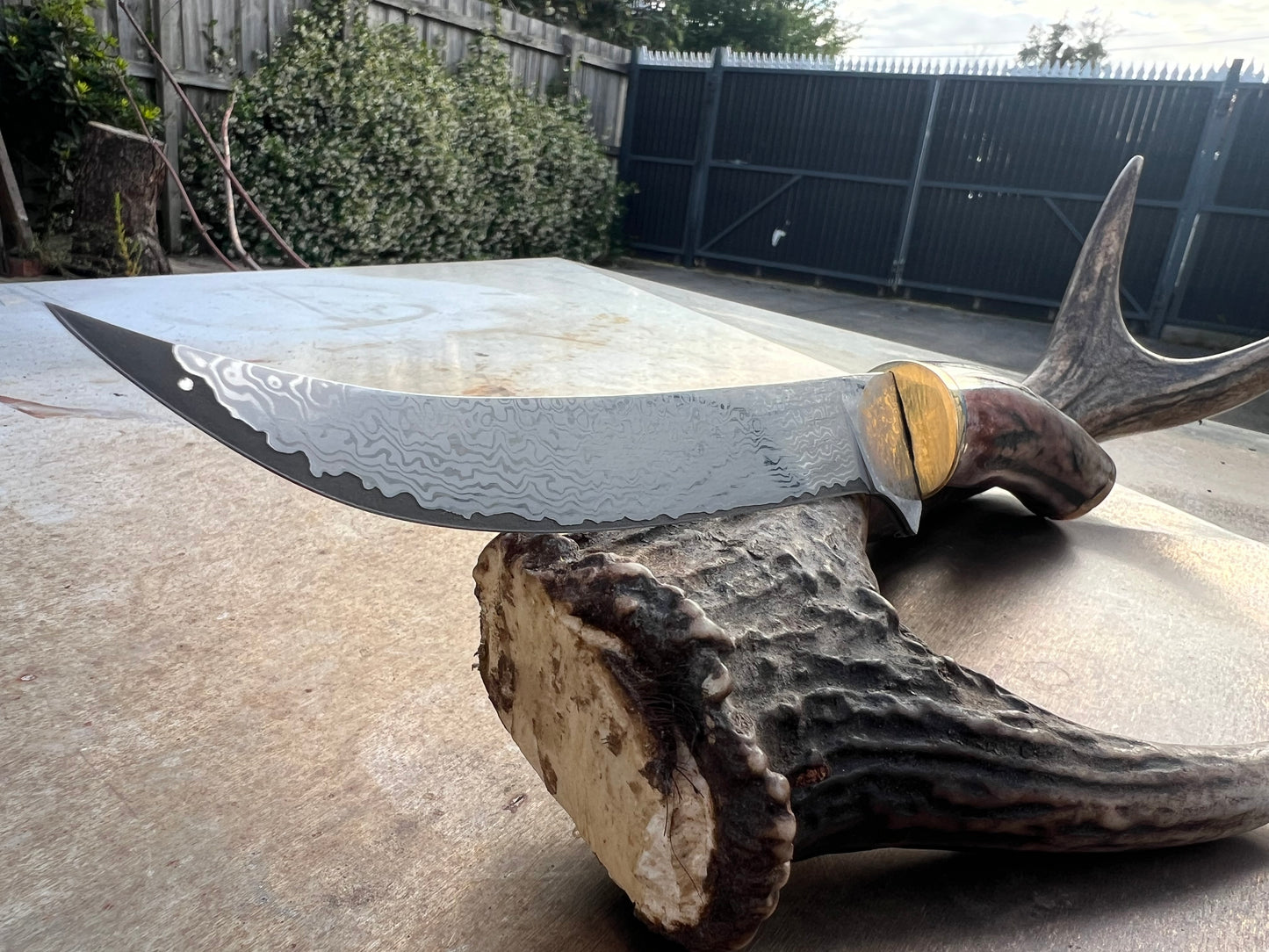 Damascus boning knife