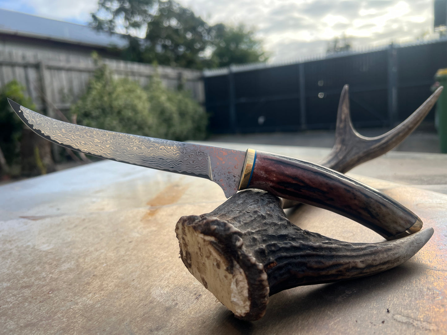 Damascus boning knife