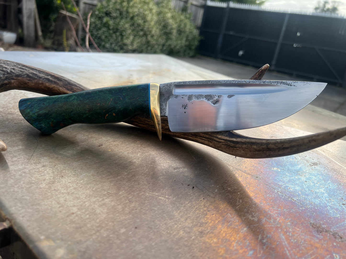 The Bushman’s Drop Point Hunter