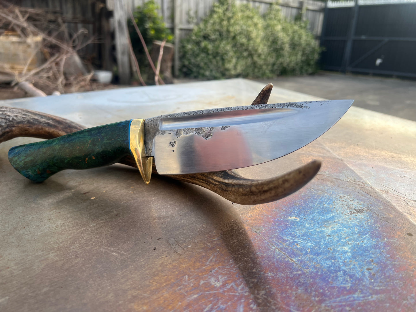 The Bushman’s Drop Point Hunter